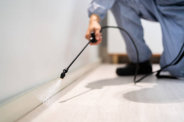 Licensed Mosquito Control service in Ellis, KS - Show Me Pest Control