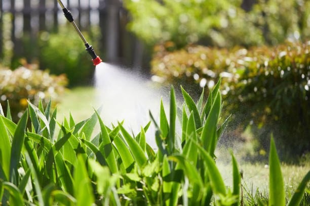 24/7 Emergency Mosquito Control experts in Ellis, KS